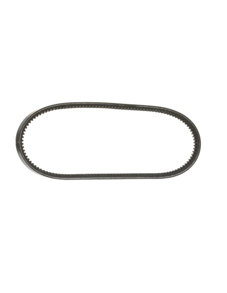 Cinghia trapezoidale 13x8 BX50-1270mm