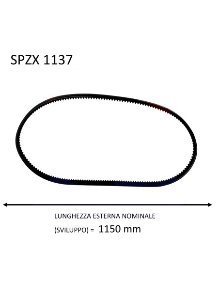 CINGHIA TRAP. SPZX 1137 P BELT Dentata