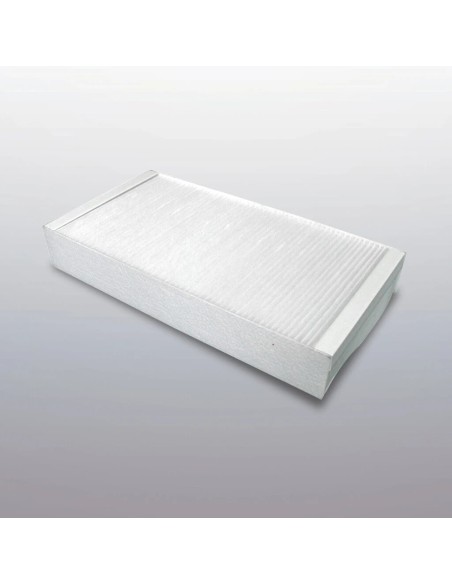 FILTRO AD ARIA P750014