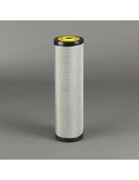 FILTRO AD ARIA P780036