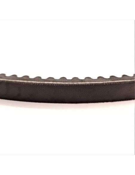 Cinghia trapezoidale 13x8 AX44-1120mm