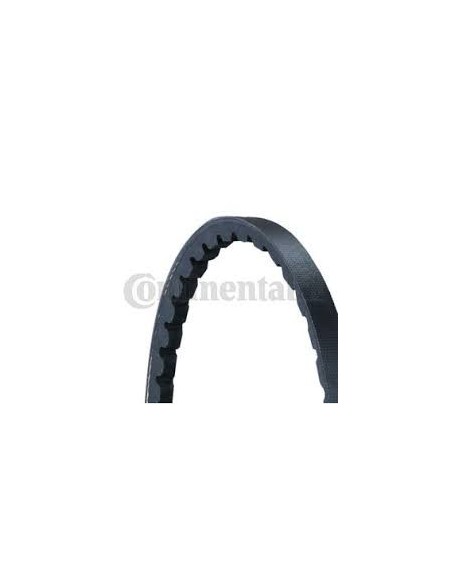 Cinghia trapezoidale 13x8 AX48-1220mm