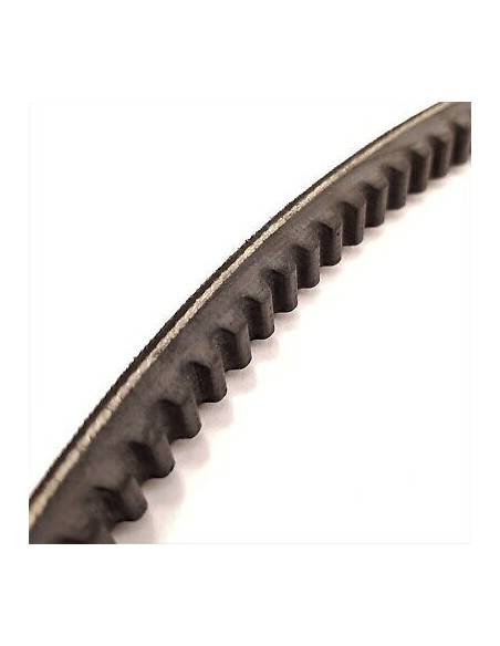 Cinghia trapezoidale 13x8 AX49-1250mm