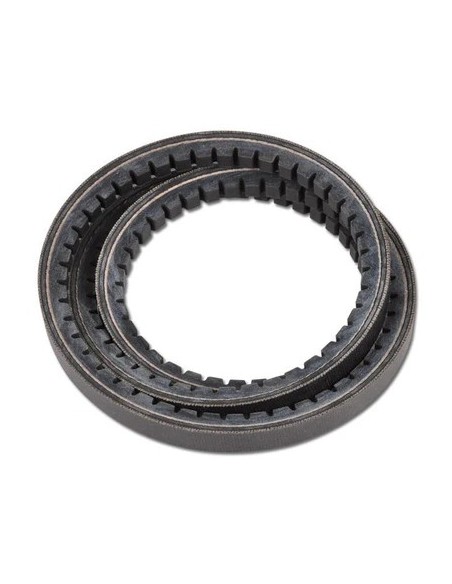 Cinghia trapezoidale 13x8 AX50-1270mm