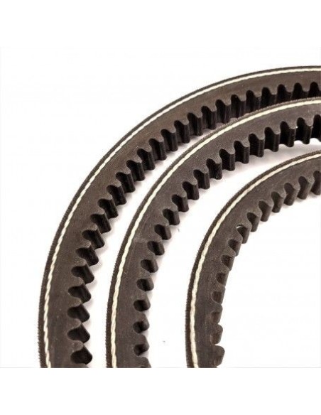 Cinghia trapezoidale 13x8 AX51-1295mm