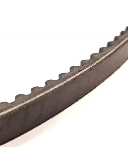 Cinghia trapezoidale 13x8 AX56-1425mm